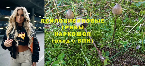 скорость Алексин