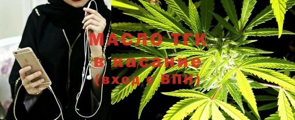 твердый Арсеньев
