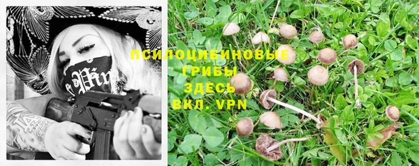 mix Алексеевка