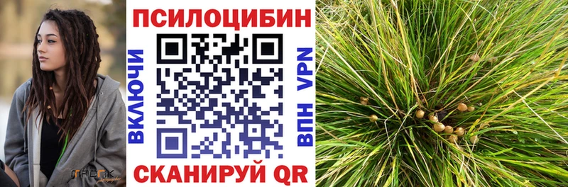 OMG маркетплейс  Константиновск  Галлюциногенные грибы мухоморы 